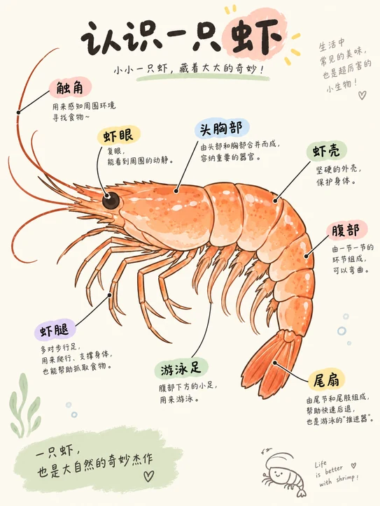 中心主图标注信息图